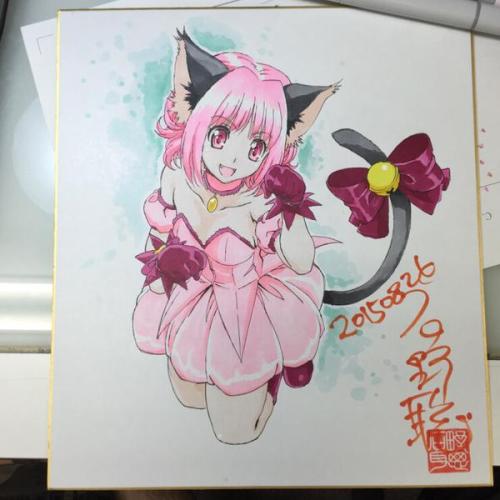 Mew Ichigo from the anime Tokyo Mew Mew New original artwork Art Board  Print for Sale by EryaMoon