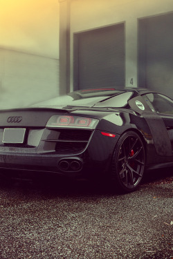 johnny-escobar:  Audi R8 