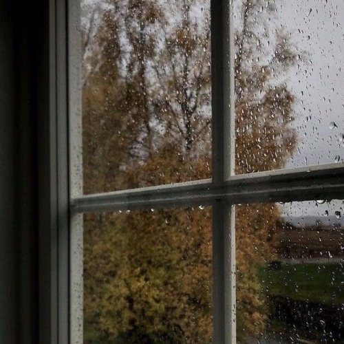 My Fall Aesthetic