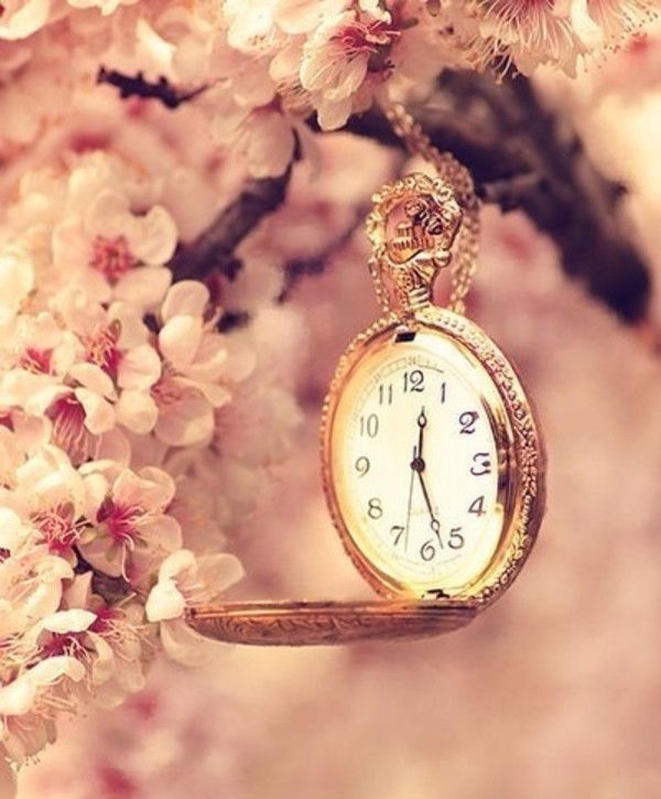 ⚜Esthétique⚜ — ⚜Esthetique⚜ | Vintage time clock