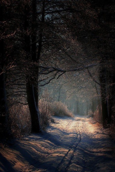 darkcottagecorewitch:
