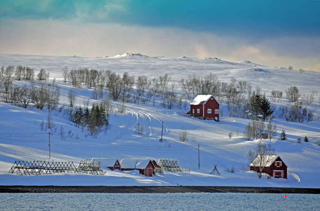 betomad: Gerald Zinnecker.Â Near SkjervÃ¸y, Norway. 2011.