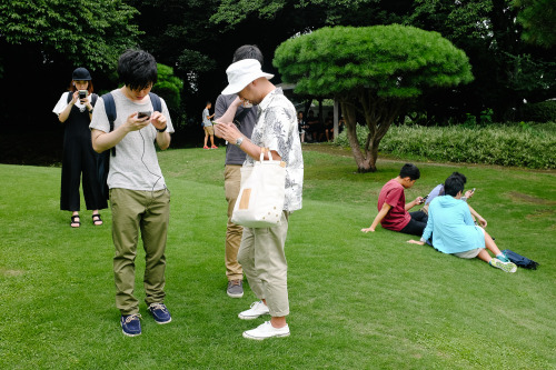 shinjuku gyoen