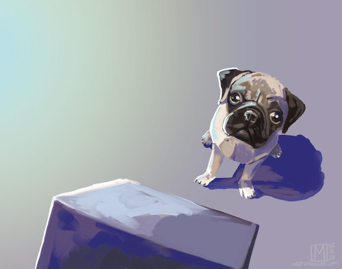 “What the Pug”You stare at me with those bulging eyes, I have no idea what you want. You snort, fart