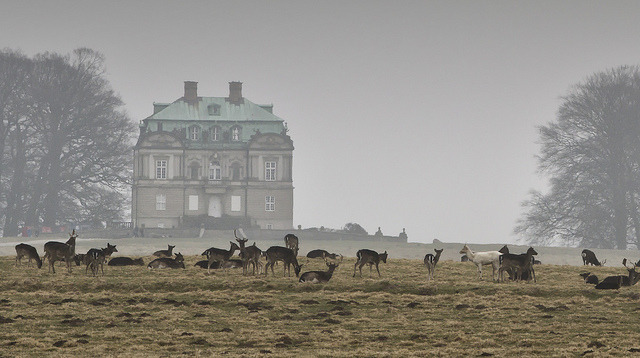 umla:  Erimitage Castle by vinergodt on Flickr. 