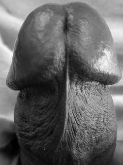 Geegee181:  Dickheadz: Look At This Beautiful Dick Head And Tell Me You Don’t Want