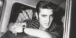  August 16, 1956 » Elvis is greeted by