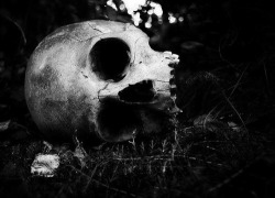 dark-recesses-of-the-soul:☽ dark, horror, eerie, macabre ☾ 