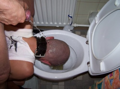 aysskin:  SSLAVE PISS HHEAD