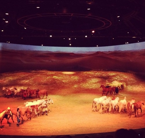 Guys guess what?!!? I got to go see Cavalia&rsquo;s Odysseo here in Calgary yesterday!!!!! It was so