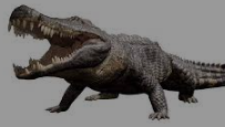 Deinosuchus Wouldve Loved A Lamb Souvlaki