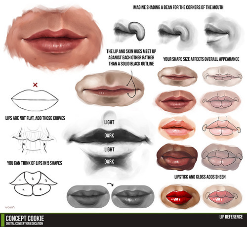 Tutorials, References & Daily Inspiration Picks