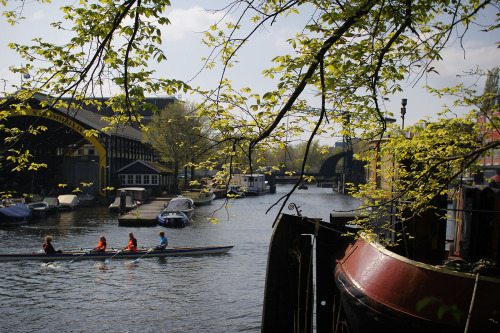 a Saturday morning in Amsterdam, Kadijkseiland.