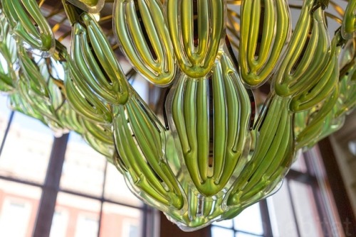 “Living” Chandelier That Naturally Purifies the Air Contains Real AlgaeDesign engineer and biotechno