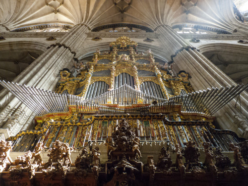 esmitierra:Salamanca New Cathedral, Castile and Leon, Spain. VIA.