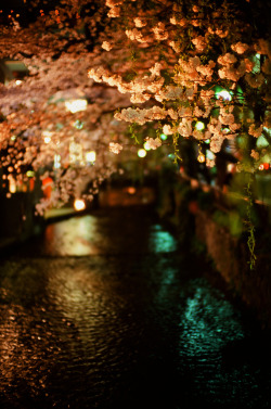 mystic-revelations:  木屋町通 (by ALEX S.F.C.) 