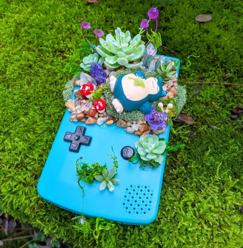 Pastel Gameboy Pokemon Terrariums Made By Winnie Sumida