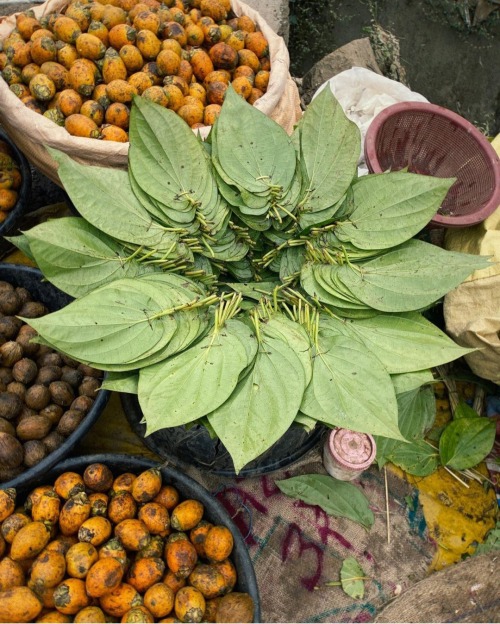 Markets Of Assam By Imdad Barbhuyan