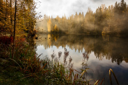 blackteaandlanguages: Hämeenlinna, Finland