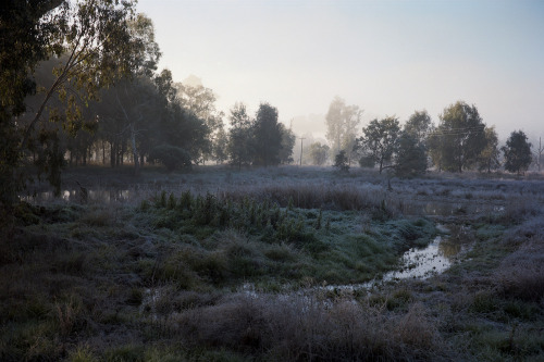 foxmouth:Tumut Wetlands, 2016 | by Jamie Hladky