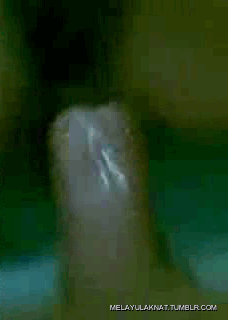 Meleis Nikmat!