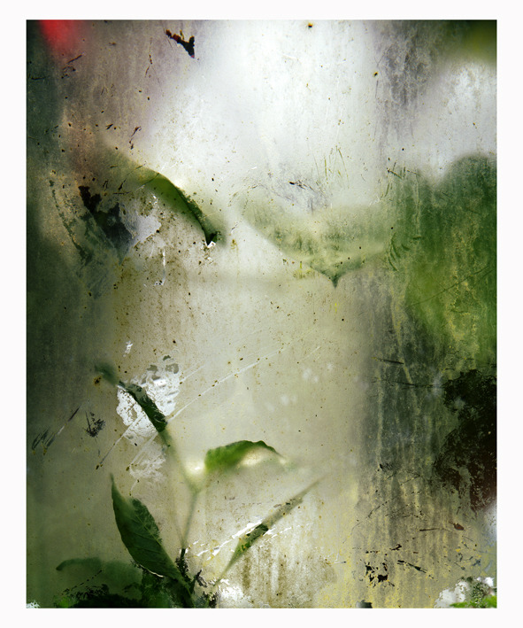 ejcdarmon-blog:  Alice Myers - Winterless Skies  
