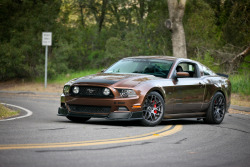 Ford Mustangs