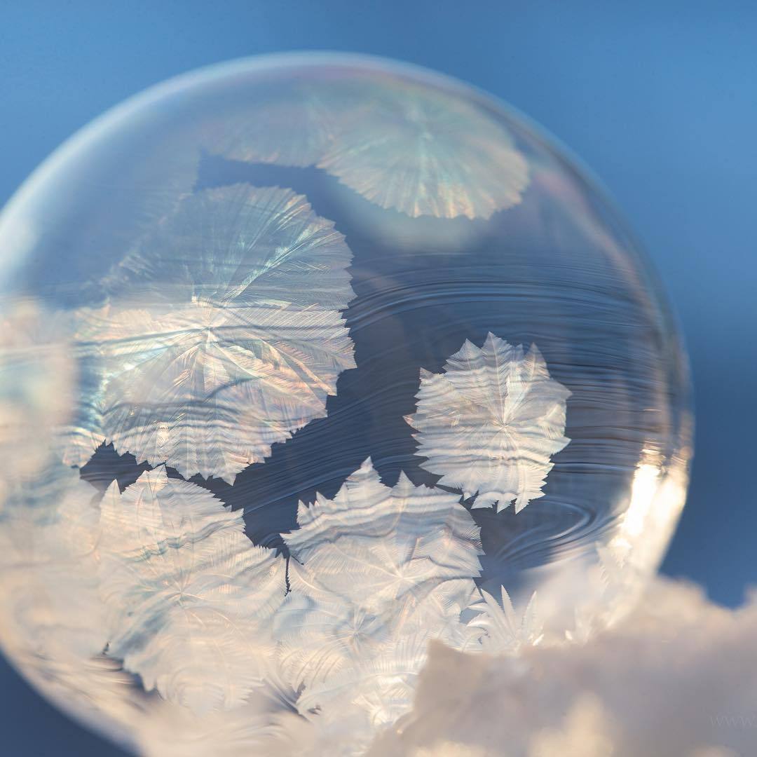 adamhillstudios:Frozen bubbles in the subarctic
