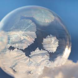 adamhillstudios:Frozen bubbles in the subarctic