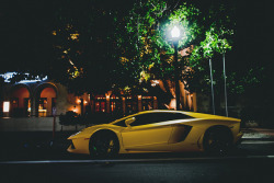 automotivated:  untitled by miami fever on