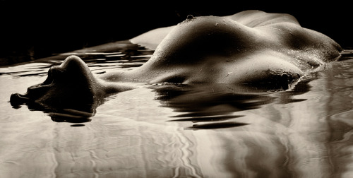 fantasstix:More Water Creature by Daniel-West