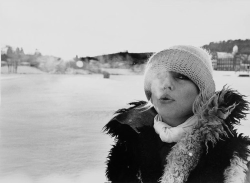  Debbie Harry photographed by Chris Stein.  