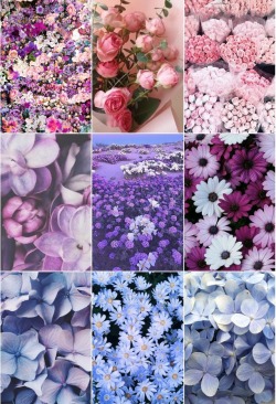 whatsnew-lgbtq:Bisexual flower wallpaper moodboard