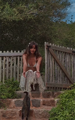 37a8288171fca1e8a78a1f85fb7e80797ece5073.gif