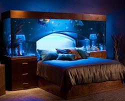 just-stuck-in-my-computer:  aquarium headboard