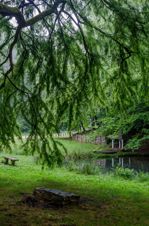 studioview: Green curtain by Robin TOURNADRE (thanks for 250k views) St-Vincent-du-Lorouer, Pays de 