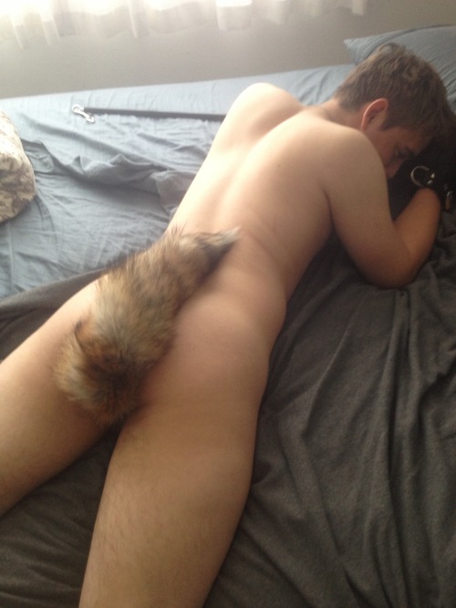 Porn Very cute :3 ish that a fox tail butt plug? photos