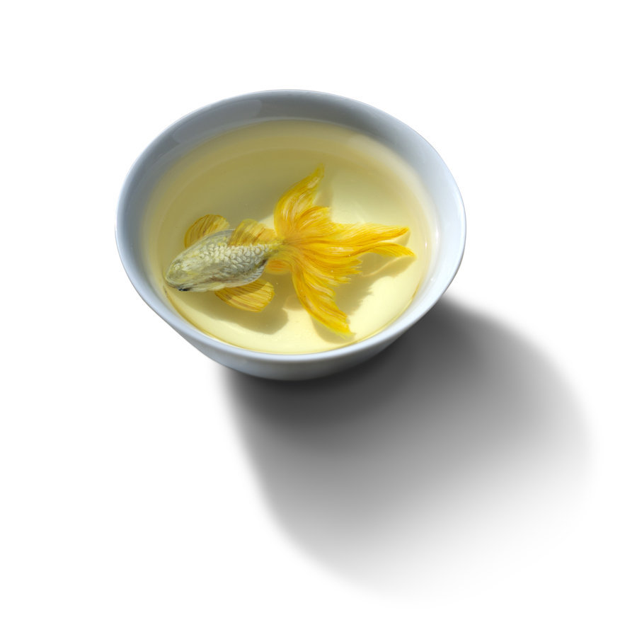 paintvrlife:  by kenglye  please do not remove credit.