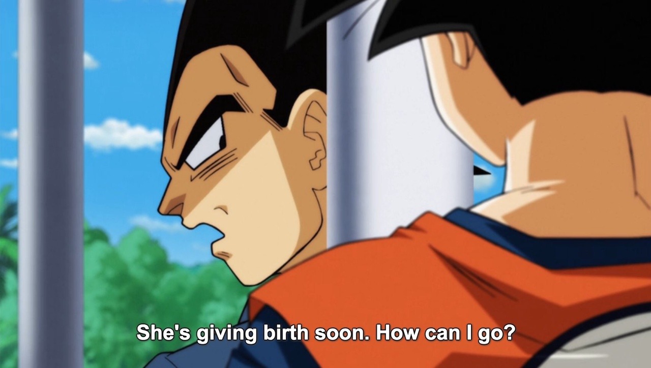 mayuzane: Vegeta is 6 million times a better dad and husband than Goku will ever
