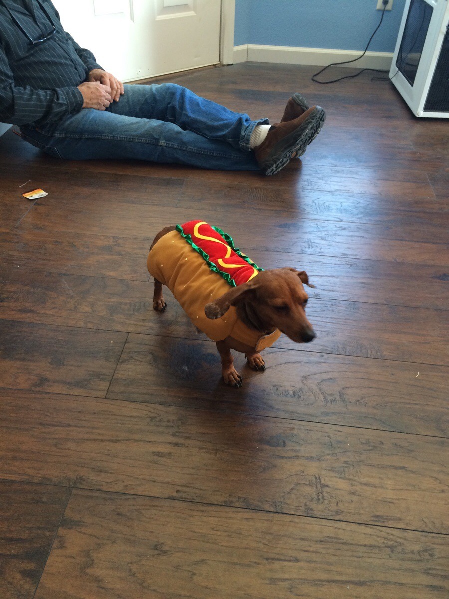 awwww-cute:  Secret Santa gave me buns for my weiner 