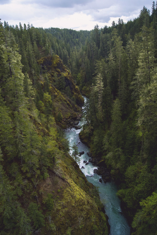 pikxchu:  Skokomish River, WA by Alesha Brown