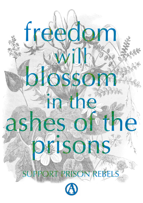 “Freedom will blossom in the ashes of the prisons.Support prison rebels”