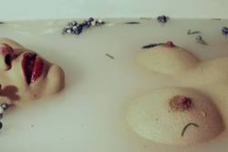 licornelle:Model: SierraColleen (me) Photo/Mua: Skull-Glossbones christinacreeps  Got snowed in with my best friend last night and we played art in her bathtub! :)