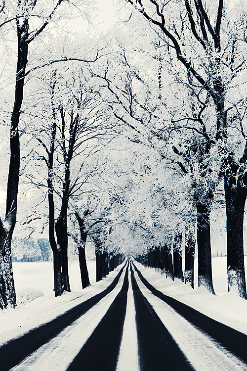 stvdy:  Brandenburg, Germany (Alex Fechner)