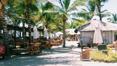 highnacia:Hibiscus Beach club- Maceio ,Alagoas