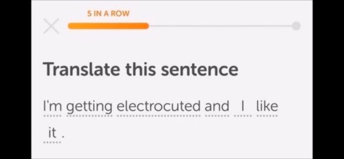 Bros As Random Duolingo Sentences