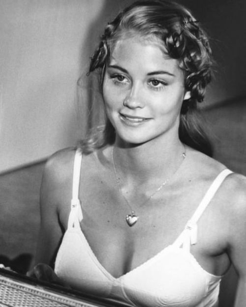 Cybill Shepherd Nudes & Noises  