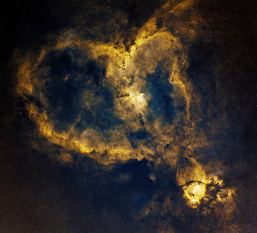 XXX spacewonder19:  IC1805, Heart Nebula photo