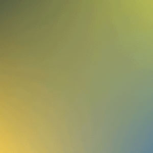 Colors :)