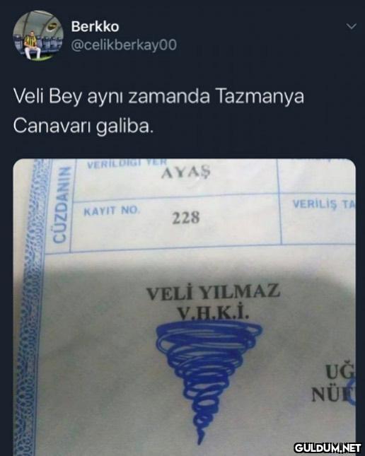 Kaynak